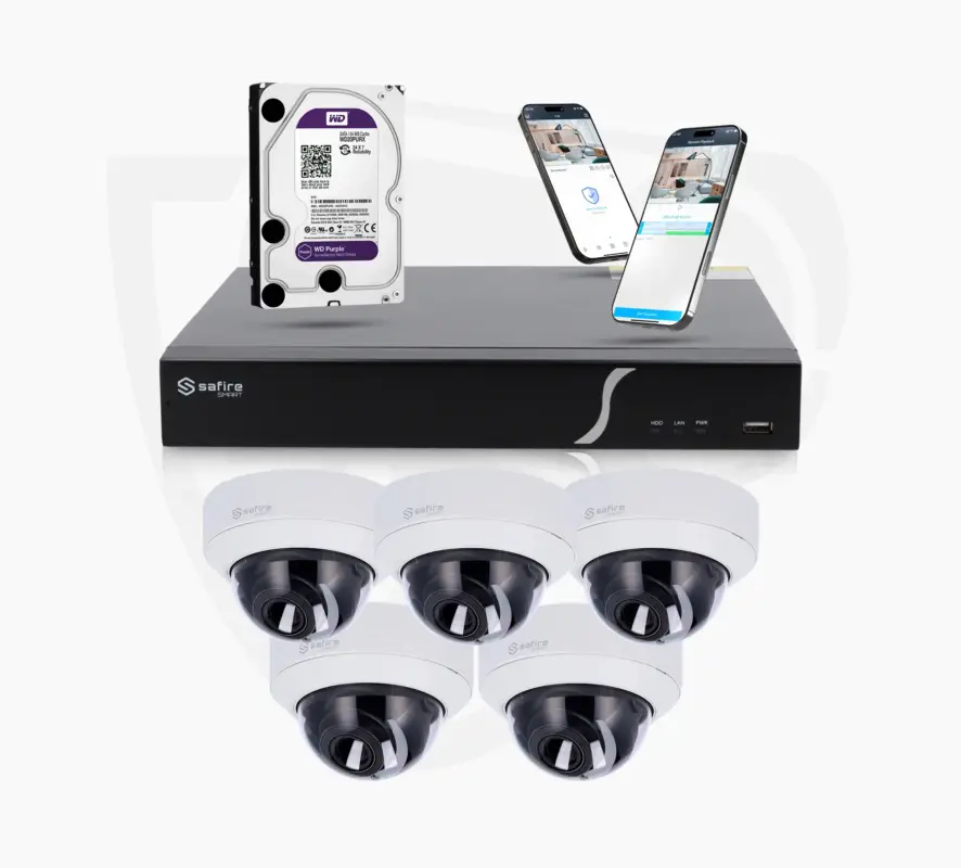 Pro Set mit 5 Dome-Kameras